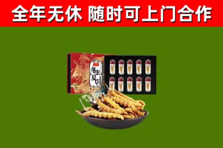 阜阳烟酒回收冬虫夏草礼盒.jpg